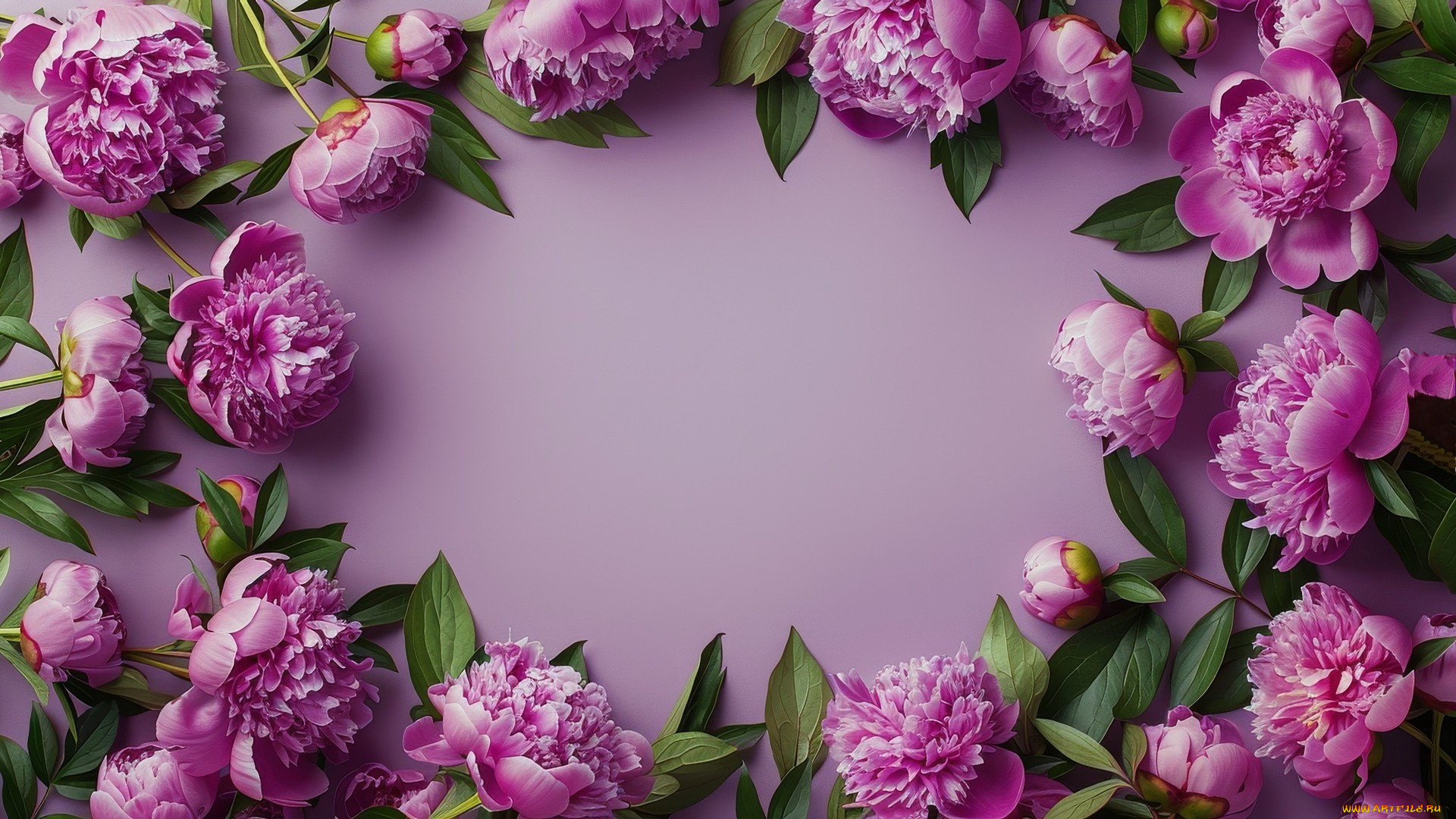 3 ,  , flowers, 